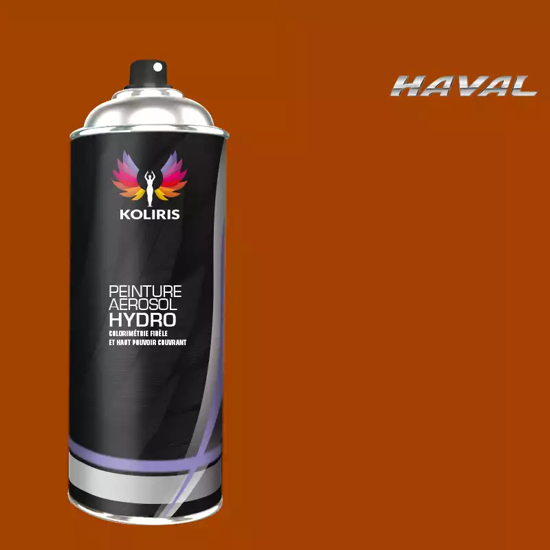 Bombe de peinture voiture hydro Haval 400ml