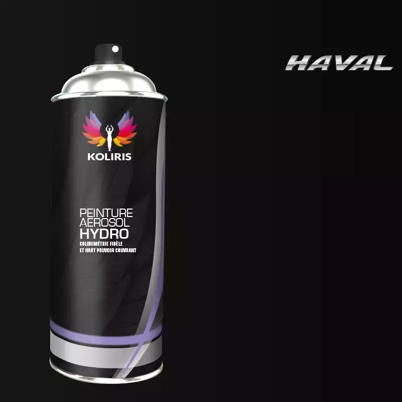 Bombe de peinture voiture hydro Haval 400ml