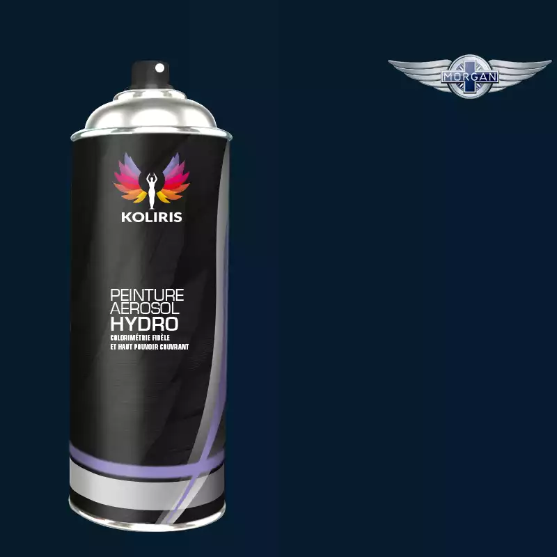 Bombe de peinture voiture hydro Morgan 400ml