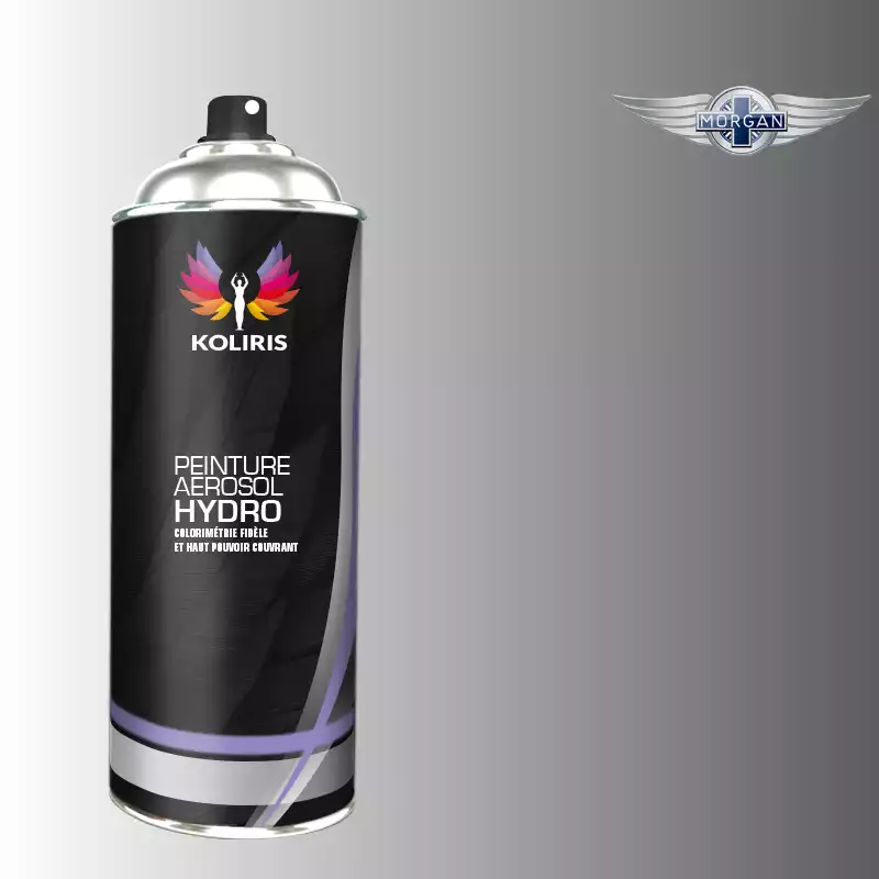 Bombe de peinture voiture hydro Morgan 400ml