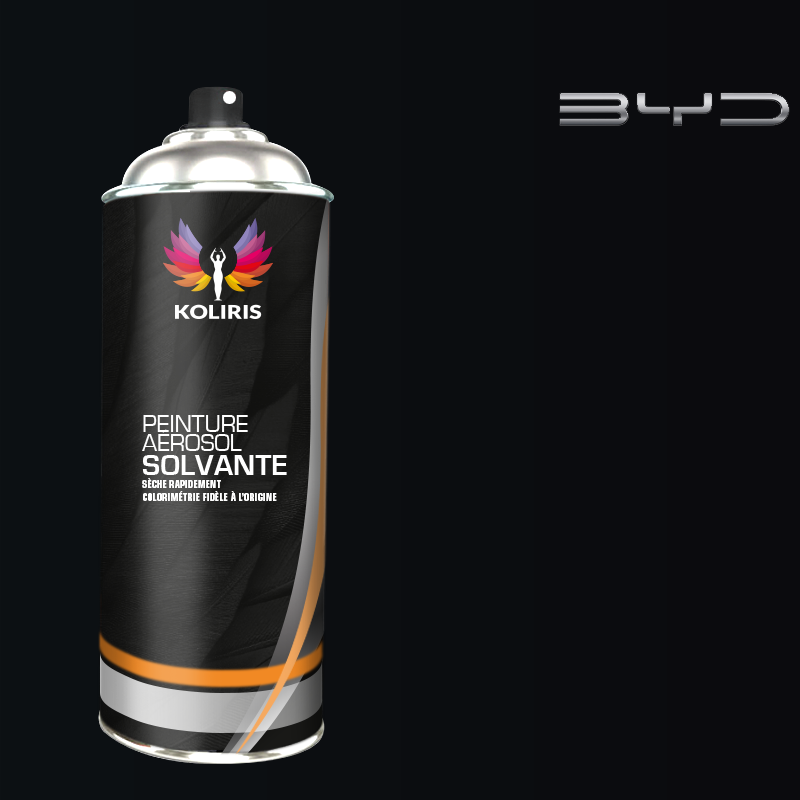 Bombe de peinture voiture solvant Byd Auto 400ml