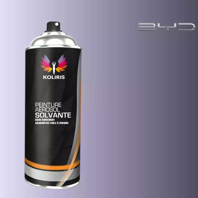 Bombe de peinture voiture solvant Byd Auto 400ml