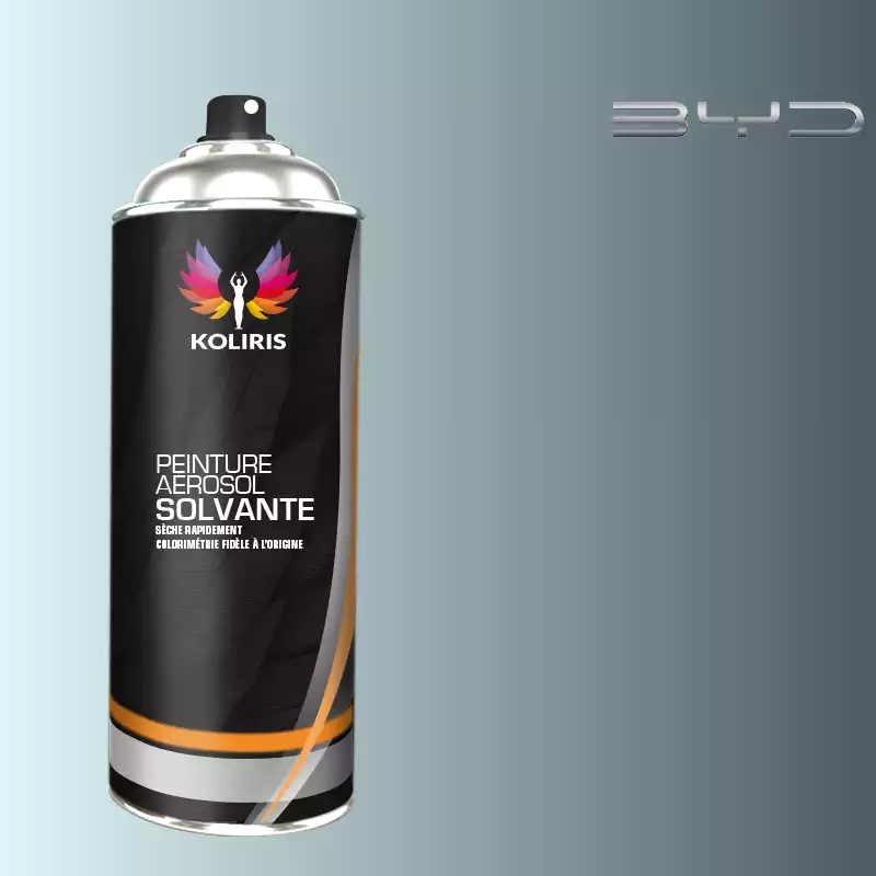 Bombe de peinture voiture solvant Byd Auto 400ml