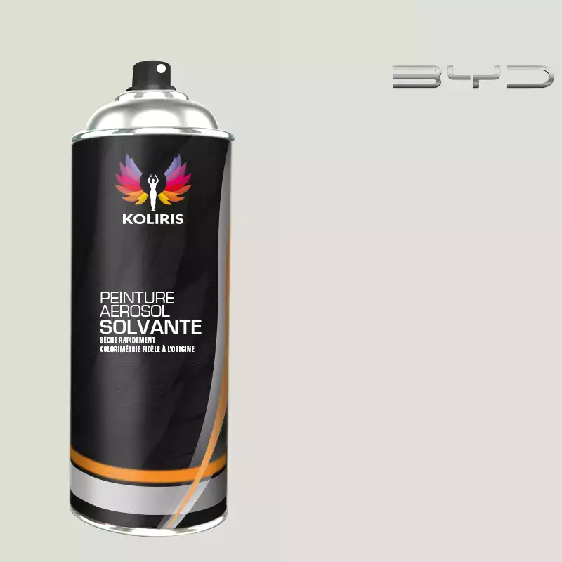 Bombe de peinture voiture solvant Byd Auto 400ml