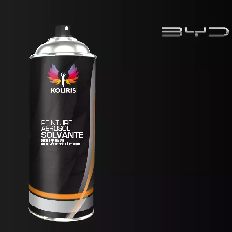 Bombe de peinture voiture solvant Byd Auto 400ml