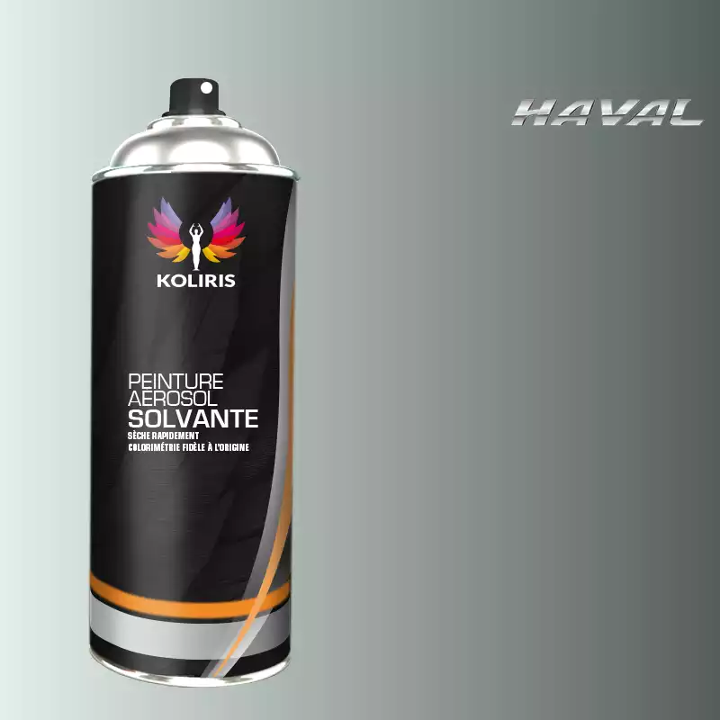 Bombe de peinture voiture solvant Haval 400ml