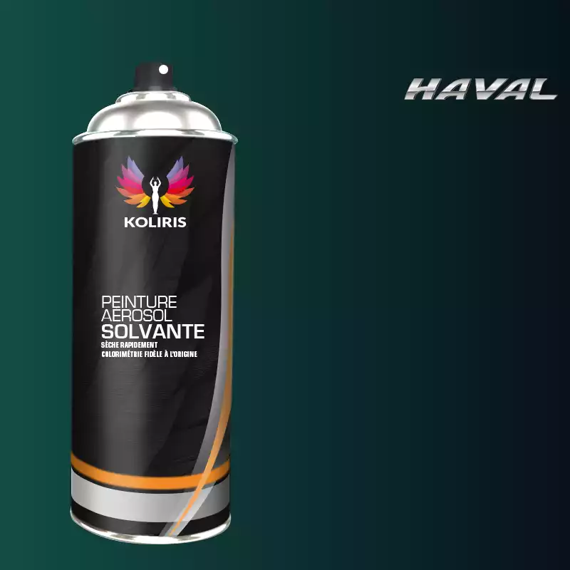 Bombe de peinture voiture solvant Haval 400ml