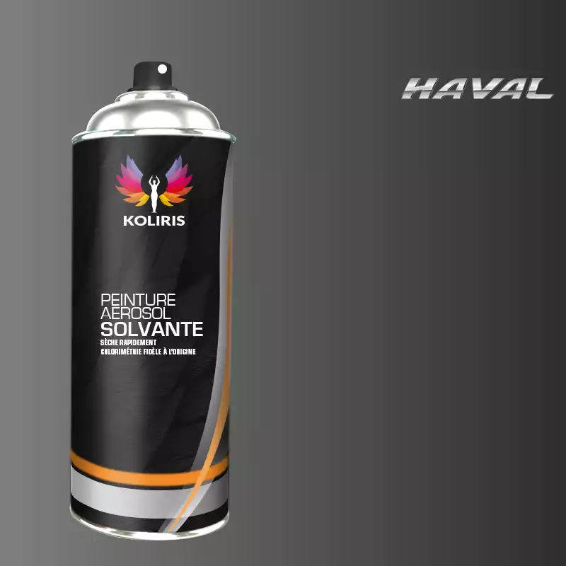 Bombe de peinture voiture solvant Haval 400ml