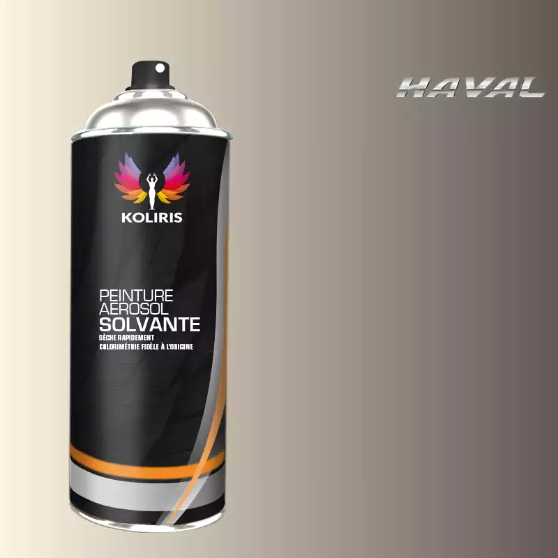 Bombe de peinture voiture solvant Haval 400ml