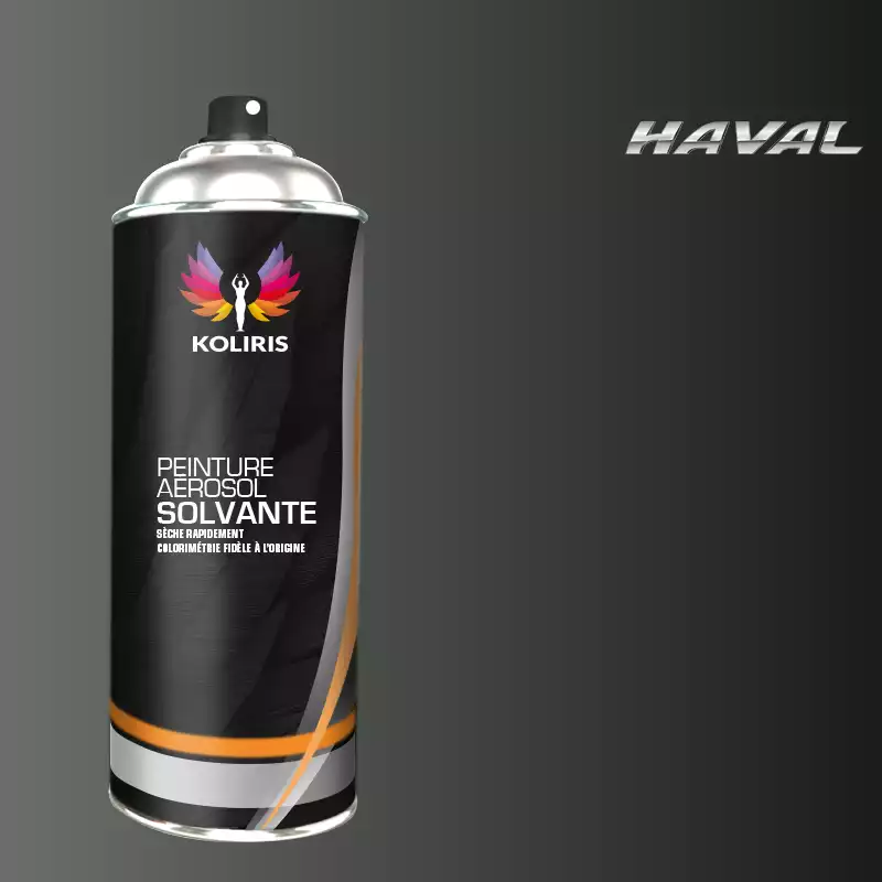 Bombe de peinture voiture solvant Haval 400ml