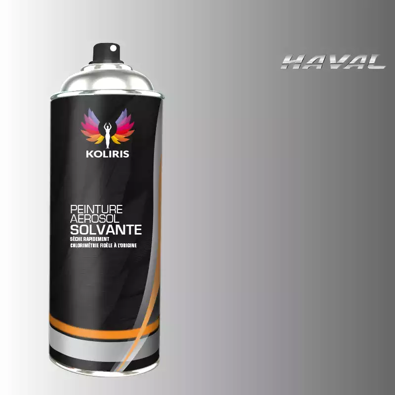 Bombe de peinture voiture solvant Haval 400ml