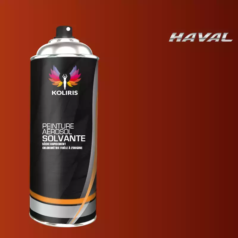 Bombe de peinture voiture solvant Haval 400ml