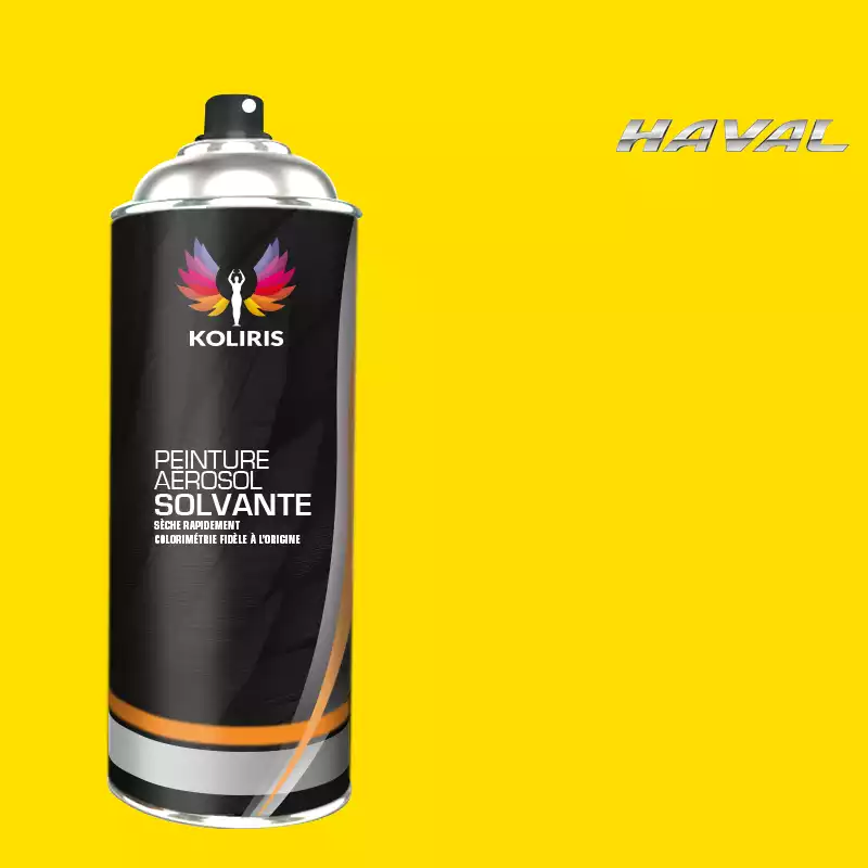 Bombe de peinture voiture solvant Haval 400ml