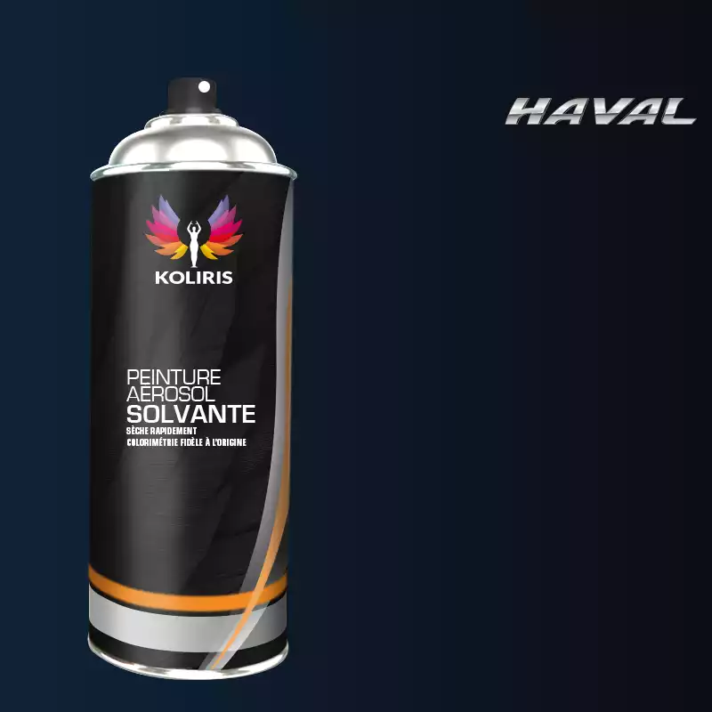 Bombe de peinture voiture solvant Haval 400ml