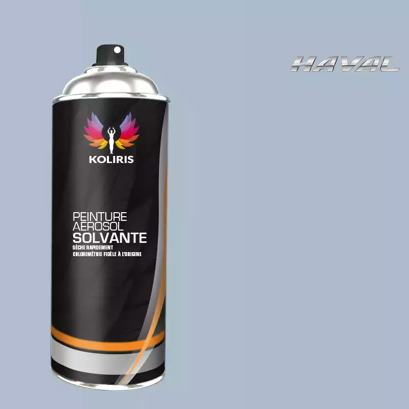 Bombe de peinture voiture solvant Haval 400ml