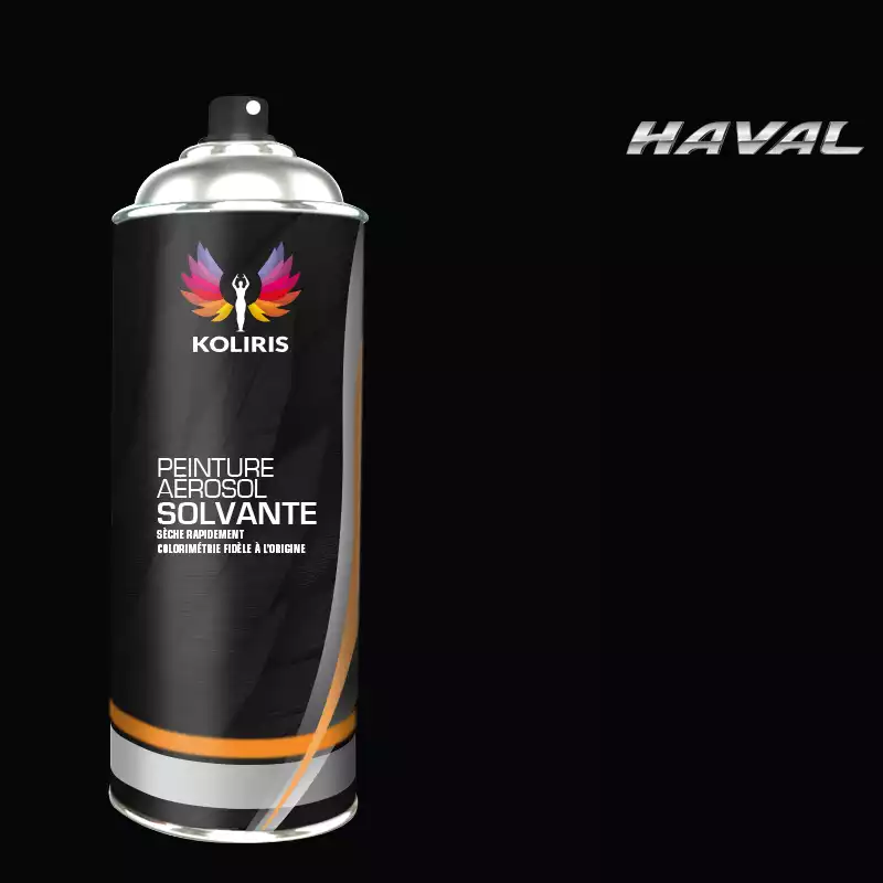 Bombe de peinture voiture solvant Haval 400ml