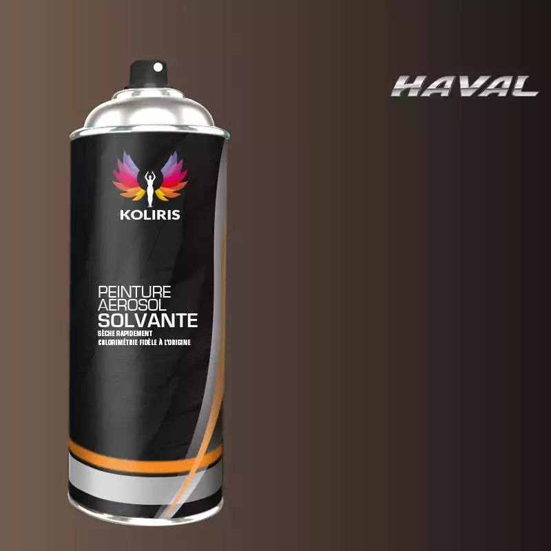 Bombe de peinture voiture solvant Haval 400ml