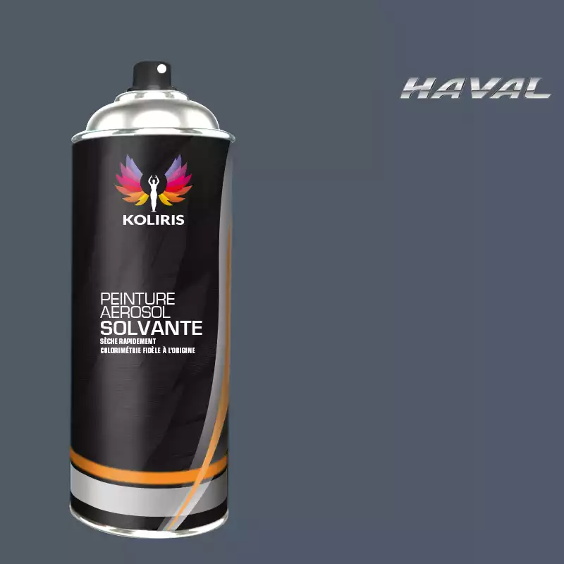 Bombe de peinture voiture solvant Haval 400ml