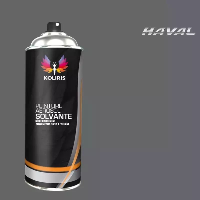 Bombe de peinture voiture solvant Haval 400ml