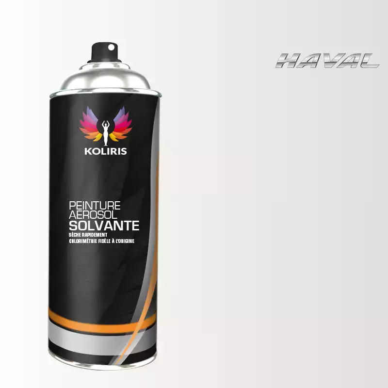 Bombe de peinture voiture solvant Haval 400ml