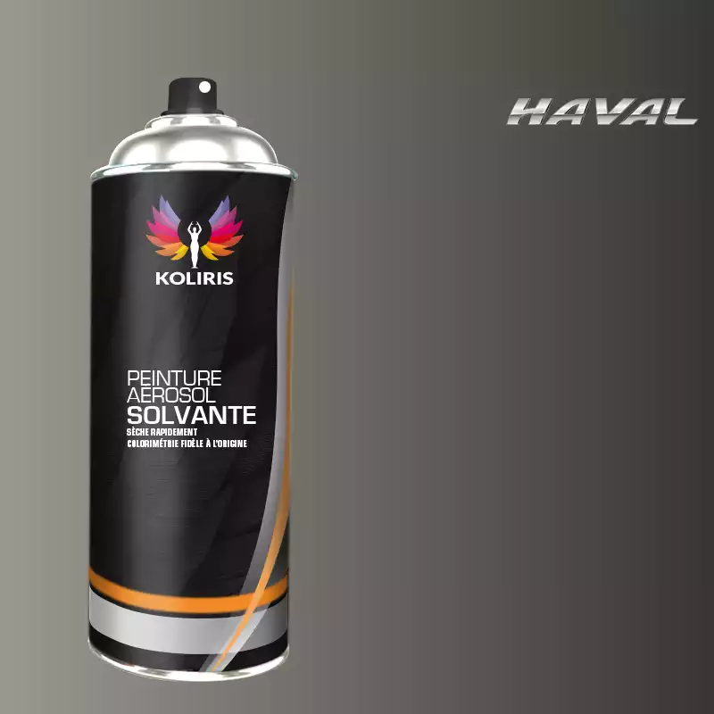 Bombe de peinture voiture solvant Haval 400ml