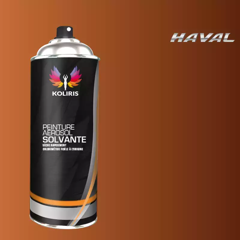 Bombe de peinture voiture solvant Haval 400ml