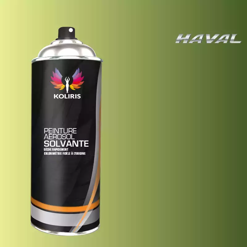 Bombe de peinture voiture solvant Haval 400ml