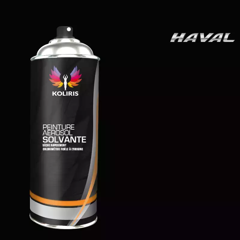 Bombe de peinture voiture solvant Haval 400ml