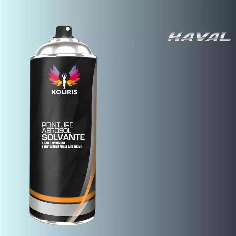 Bombe de peinture voiture solvant Haval 400ml