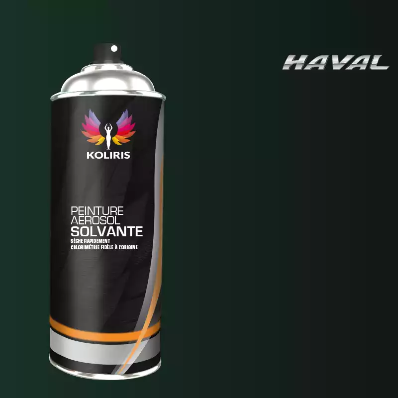 Bombe de peinture voiture solvant Haval 400ml