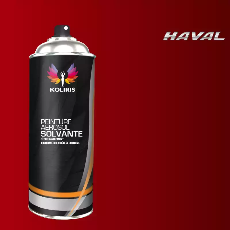 Bombe de peinture voiture solvant Haval 400ml