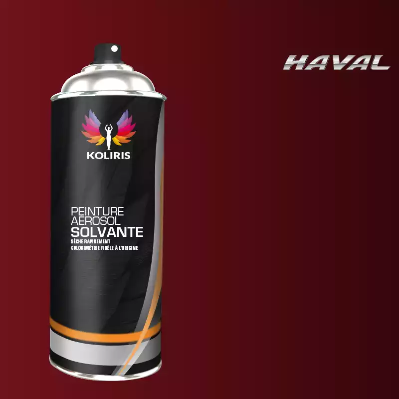 Bombe de peinture voiture solvant Haval 400ml