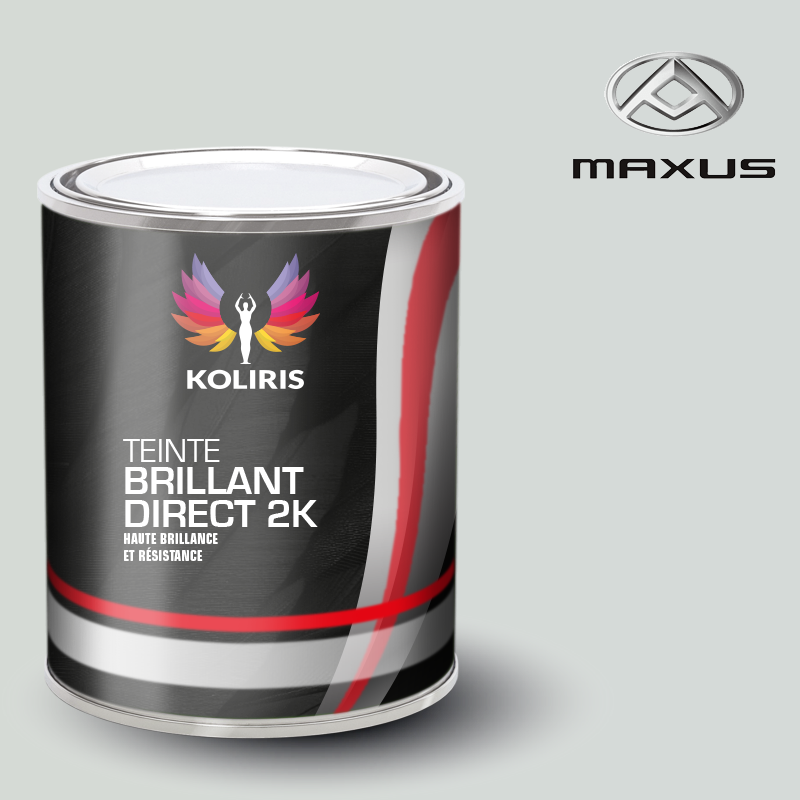 Peinture utilitaire - camion brillant direct VOC420 Maxus