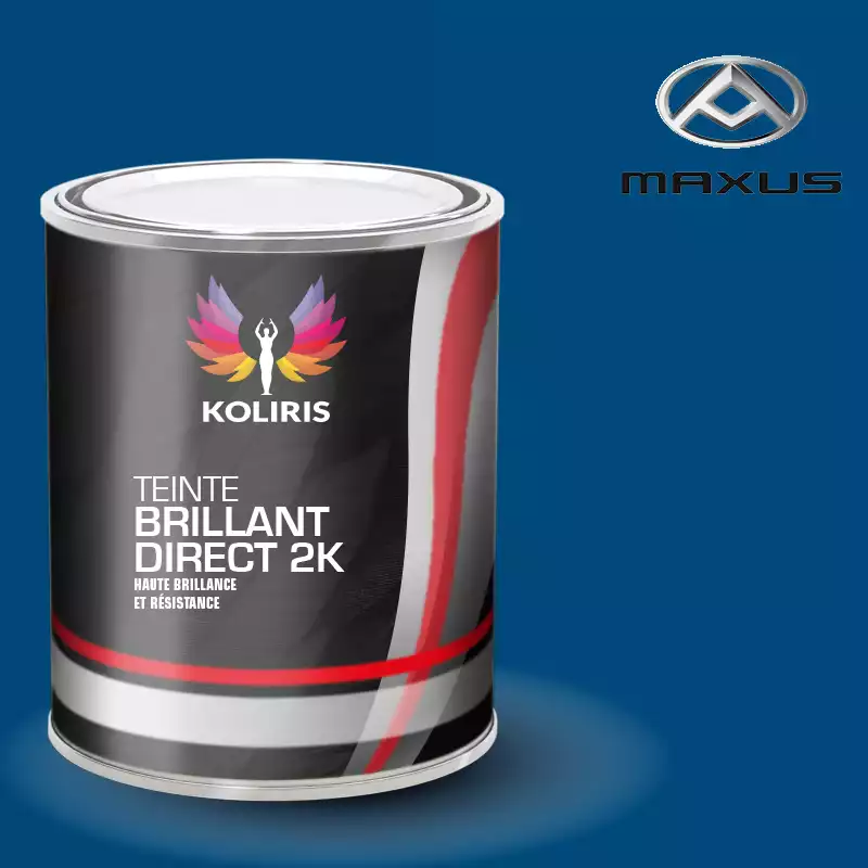 Peinture utilitaire - camion brillant direct VOC420 Maxus