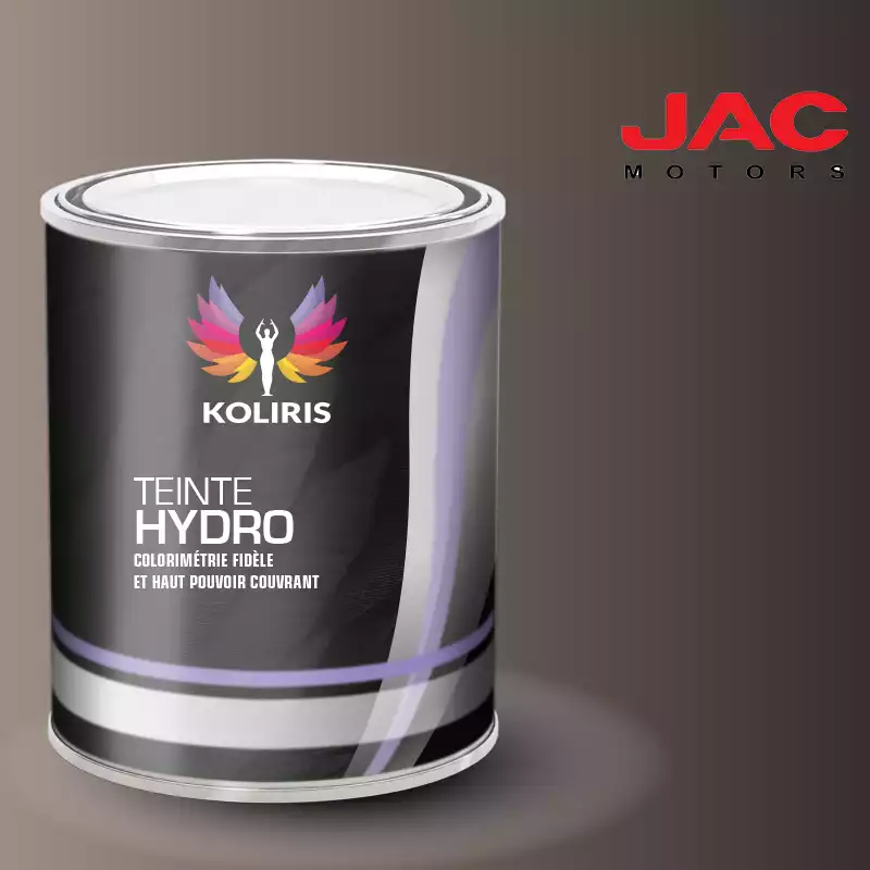 Peinture utilitaire - camion hydro Jac Motors