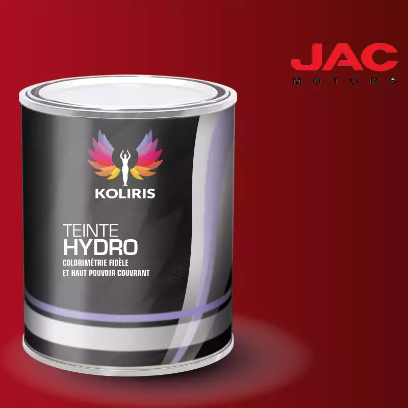 Peinture utilitaire - camion hydro Jac Motors