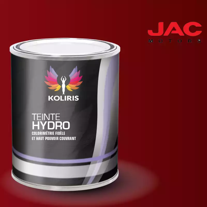 Peinture utilitaire - camion hydro Jac Motors