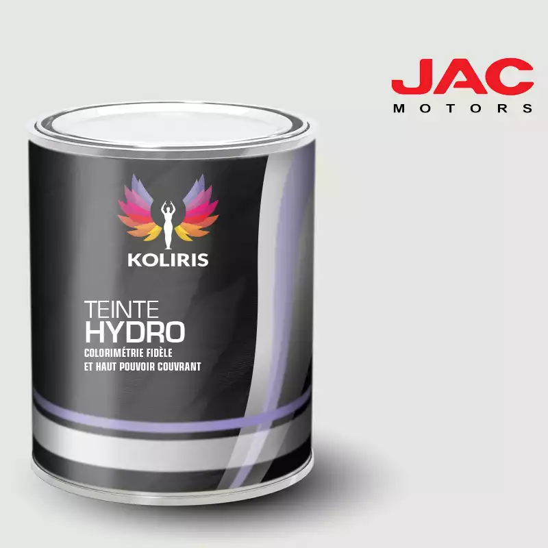 Peinture utilitaire - camion hydro Jac Motors