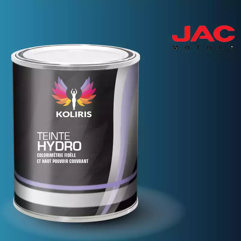 Peinture utilitaire - camion hydro Jac Motors