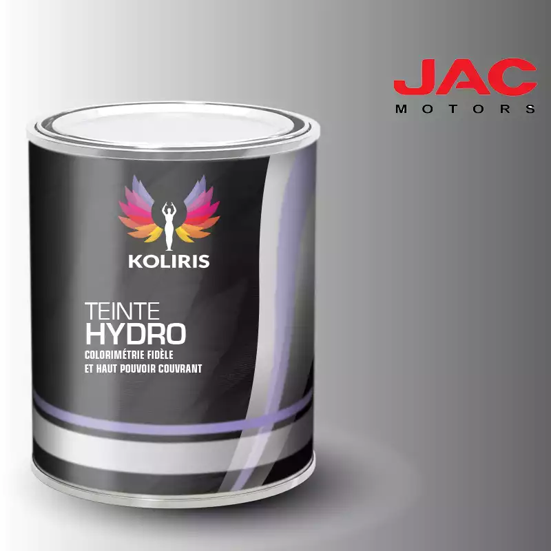 Peinture utilitaire - camion hydro Jac Motors