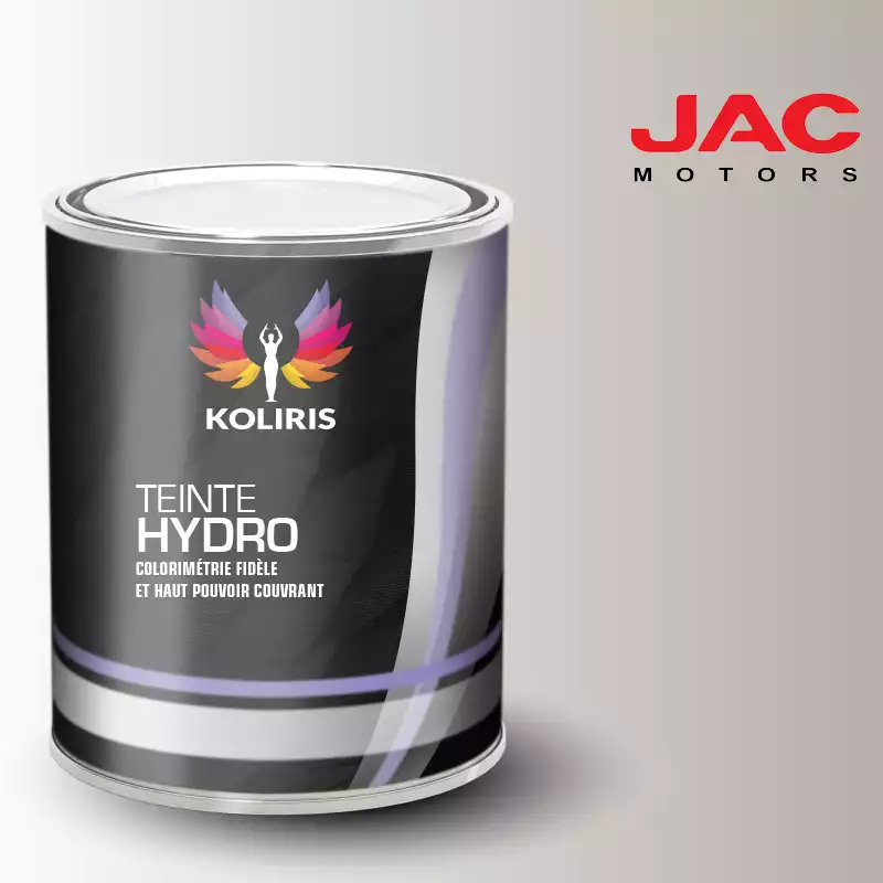 Peinture utilitaire - camion hydro Jac Motors