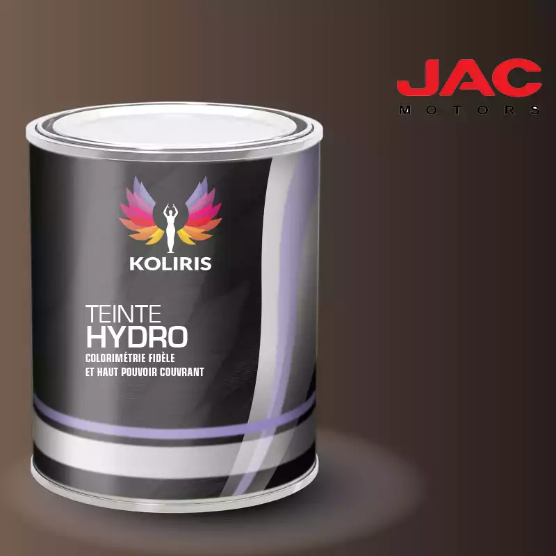 Peinture utilitaire - camion hydro Jac Motors