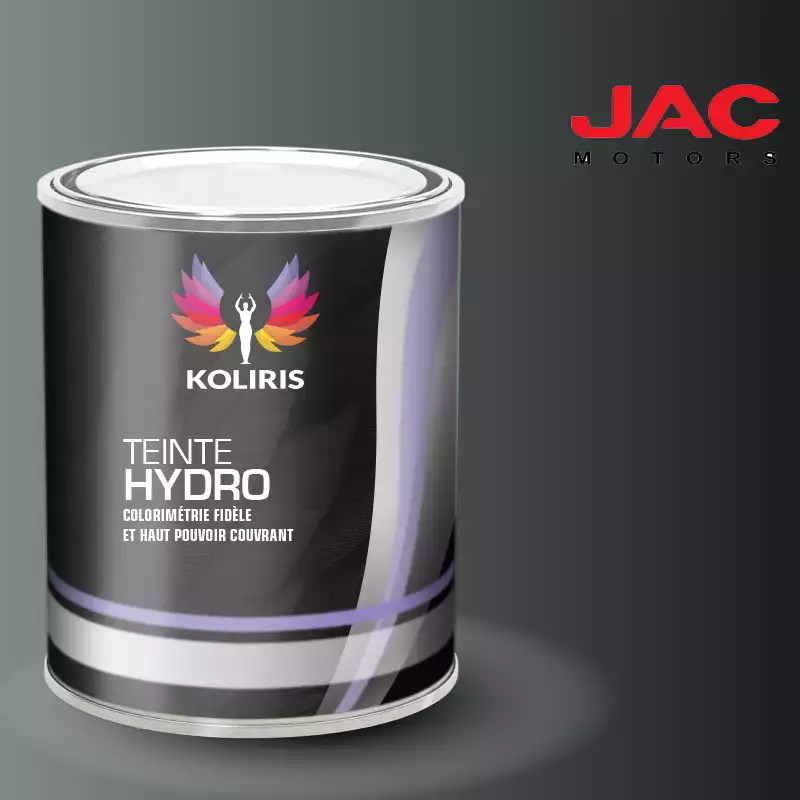 Peinture utilitaire - camion hydro Jac Motors