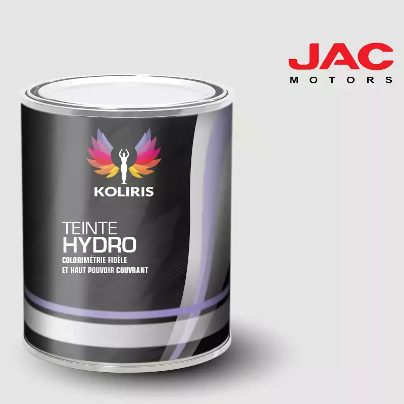 Peinture utilitaire - camion hydro Jac Motors