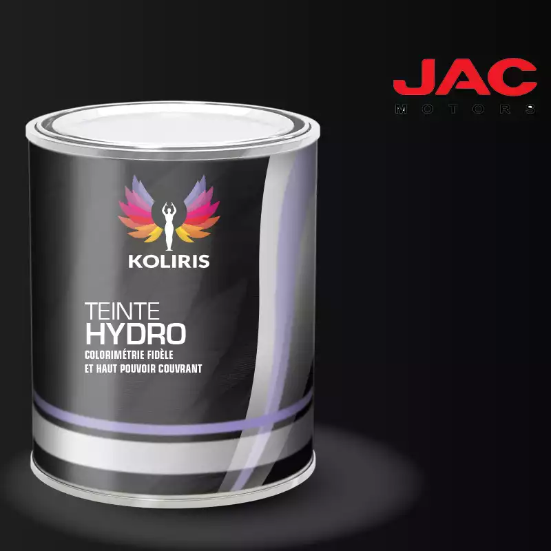 Peinture utilitaire - camion hydro Jac Motors