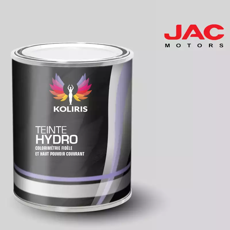 Peinture utilitaire - camion hydro Jac Motors