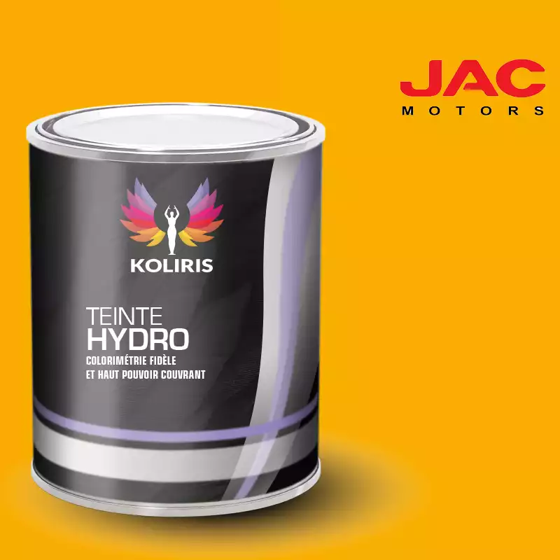 Peinture utilitaire - camion hydro Jac Motors