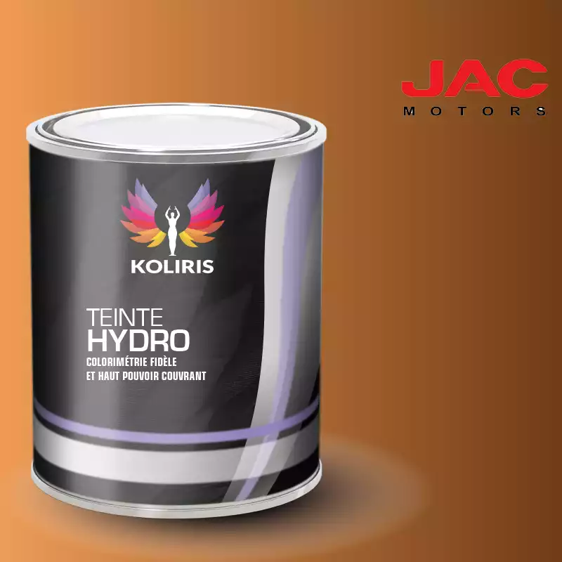 Peinture utilitaire - camion hydro Jac Motors