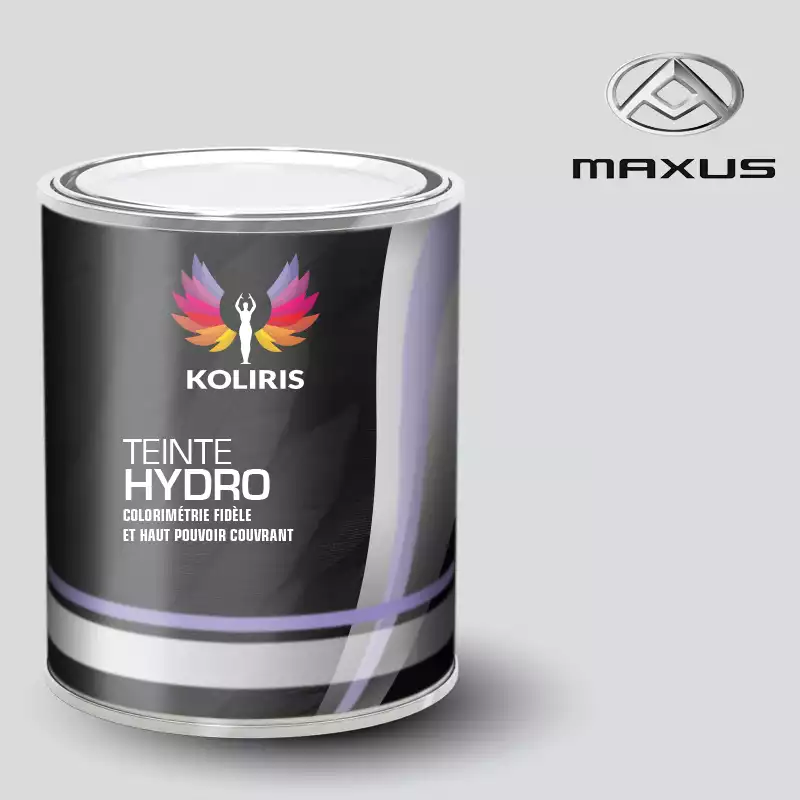 Peinture utilitaire - camion hydro Maxus