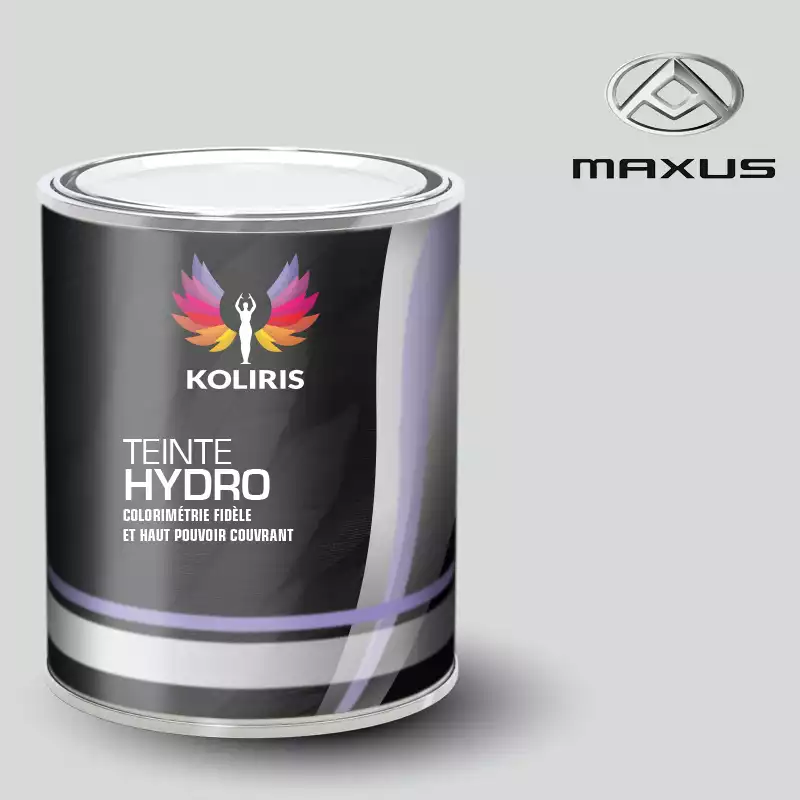 Peinture utilitaire - camion hydro Maxus